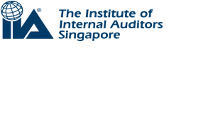 Institute of Internal Auditors