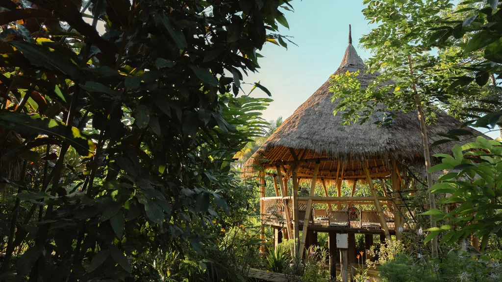 A Different Kind of Paradise